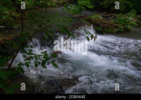 Lower Decew Falls Conservation Area unteren Bach Stockfoto