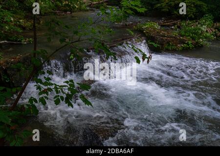 Lower Decew Falls Conservation Area unteren Bach Stockfoto