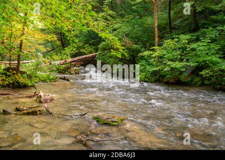 Lower Decew Falls Conservation Area unteren Bach Stockfoto