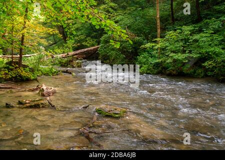 Lower Decew Falls Conservation Area unteren Bach Stockfoto