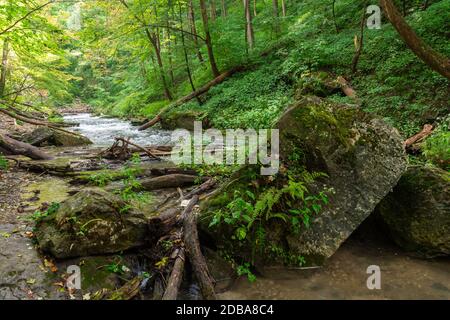 Lower Decew Conservation Area Ontario Kanada Stockfoto
