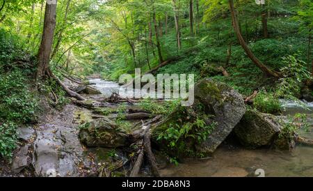 Lower Decew Conservation Area Ontario Kanada Stockfoto
