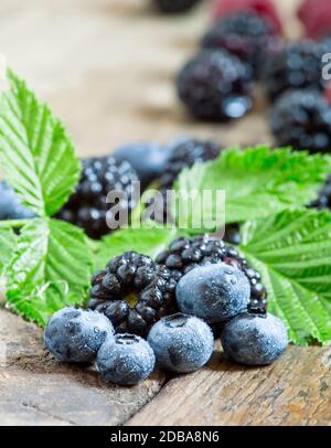 Frische Brombeeren und Heidelbeeren mit Blättern auf dem alten Holzhintergrund, selektiver Fokus Stockfoto