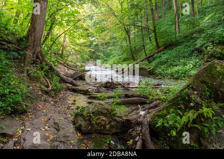 Lower Decew Conservation Area Ontario Kanada Stockfoto