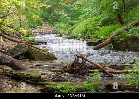 Lower Decew Conservation Area Ontario Kanada Stockfoto