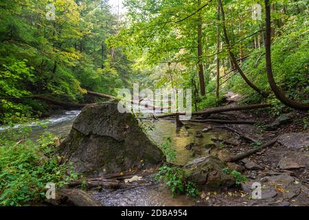 Lower Decew Conservation Area Ontario Kanada Stockfoto