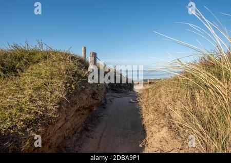 Trampeln Sie den Pfad Stockfoto