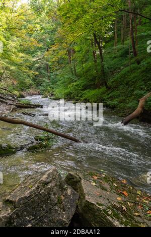Lower Decew Conservation Area Ontario Kanada Stockfoto