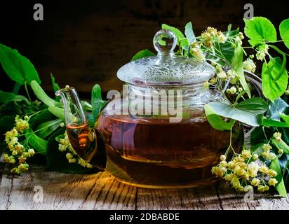 Nützliche Linden Tee in Glas Teekanne, Zweige Linden Blumen und Blätter, vintage Holzhintergrund, selektive Fokus Stockfoto
