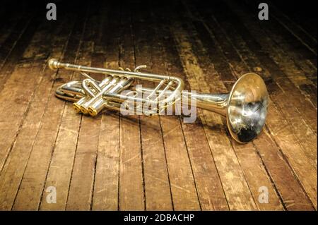 Weiße Blasentrompete liegt im Dunkeln auf einer Holzbühne Stockfoto