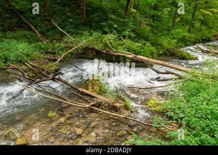 Lower Decew Falls Conservation Area unteren Bach Stockfoto