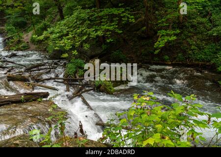 Lower Decew Falls Conservation Area unteren Bach Stockfoto