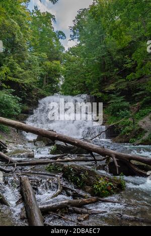Lower Decew Falls Conservation Area Saint Catharines Ontario Kanada Stockfoto