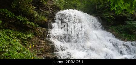 Lower Decew Falls Conservation Area Saint Catharines Ontario Kanada Stockfoto