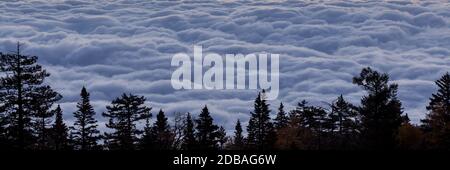 Eine dicke Wolkenschicht mit einer gewellten Textur Bei Morgendämmerung sitzt niedriger als der Aussichtspunkt der Sandia Mountains überblicken mit sanftem Licht von der Morgendämmerung Stockfoto