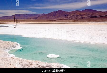 Salar de Pocitos in Puna de Atacama, Argentinien. Es ist 60 km lang und 6 km breit und liegt in der Nähe der gleichnamigen Stadt Stockfoto