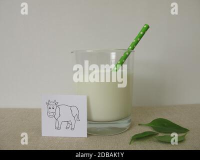 Ayran aus Milch, Joghurt, Eiswasser und Salz Stockfoto