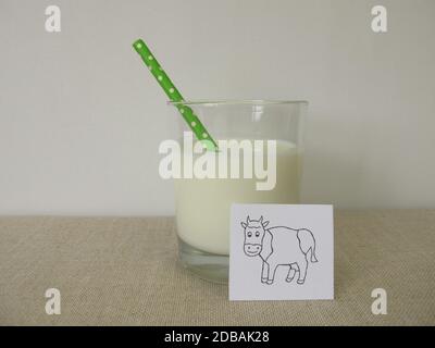 Ayran aus Milch, Joghurt, Eiswasser und Salz Stockfoto