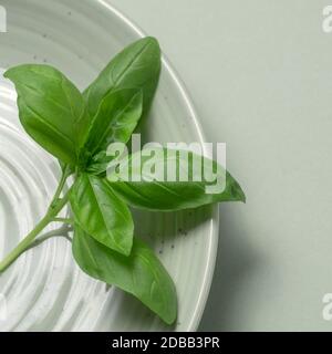 Basilikum auf Platte Stockfoto