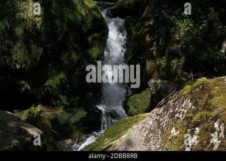 Wasserfälle und die Pisten. Myra, in der muggendorf in Niederösterreich Stockfoto