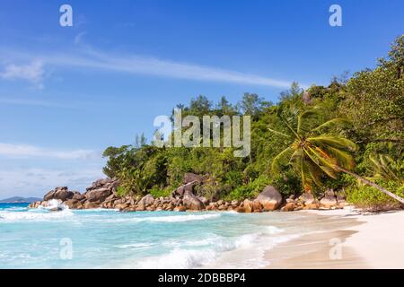 Seychellen Anse Georgette Strand Praslin Insel Palm Urlaub Meer Wasser Stockfoto