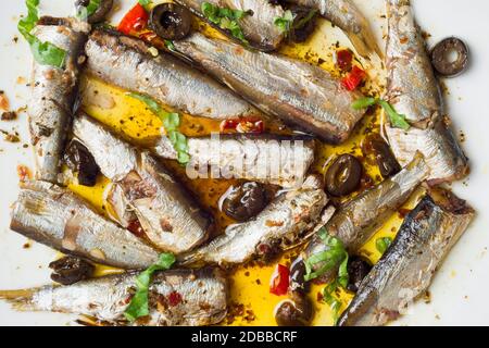 Nahaufnahme von spanischen Sardinen in Olivenöl Stockfoto