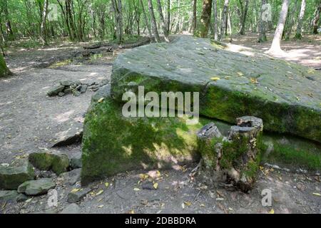 Dolmen in Shapsug. Wald in der Stadt in der Nähe des Dorfes Shapsugskaya, sind die Sehenswürdigkeiten Dolmen und Ruinen der alten Zivilisation. Stockfoto