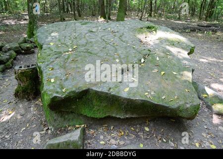 Dolmen in Shapsug. Wald in der Stadt in der Nähe des Dorfes Shapsugskaya, sind die Sehenswürdigkeiten Dolmen und Ruinen der alten Zivilisation. Stockfoto