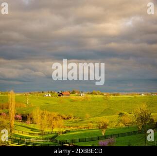 Schönen Frühling Szene in Kentucky Bluegrass Region Stockfoto