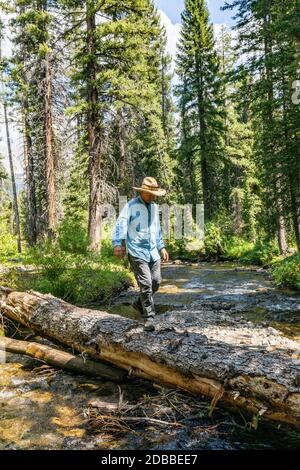 USA, Idaho, Sun Valley, man überquert Fluss im Wald Stockfoto