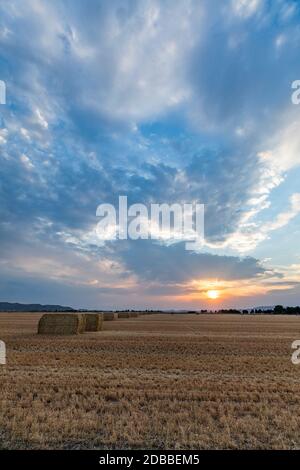 USA, Idaho, Bellevue, Heuballen im Feld bei Sonnenuntergang Stockfoto