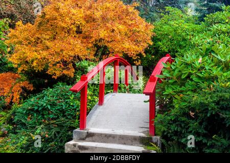 WA17918-00..... WASHINGTON - Mondbrücke und Herbstfarben in Kubota Garden, Seattle. Stockfoto