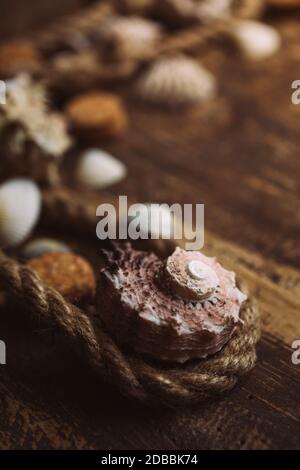 Seil und Muscheln auf alten Holztisch oder Brett für Hintergrund verbrannt. Getönte. Unscharfer Hintergrund. Hintergrundbilder für den Monitor. Postkarte. Stockfoto