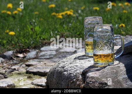 Zwei bayerische Bierkrüge mit einer kleinen Restmenge Bier stehen im Frühjahr auf einem Stein Stockfoto