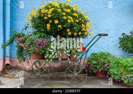 Wissembourg, Frankreich. 13. September 2009. Gartenwagen mit vielen bunten Blumen verziert. Stockfoto