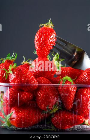 Box oder Punnet von Erdbeeren isoliert auf einem schwarzen Studio-Hintergrund Stockfoto