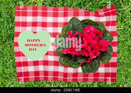 Grußkarte zum Muttertag. Dekorative Komposition aus rot karierter Serviette mit frisch blühenden Cyclamen Blüten und einem grünen Herz mit Inschrift happ Stockfoto