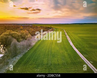 Ländliche Feldweg durch frühlingsgrüne Felder. Abends ländliche Szene. April Sonnenuntergang in Weißrussland Luftaufnahme Stockfoto