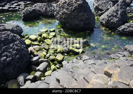 Giganten Causeway Landschaft in Nordirland Stockfoto