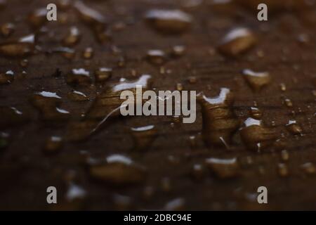 Wassertropfen auf Holzbrett. Neuer Hintergrund. Makro-Nahaufnahme. Stockfoto