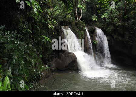 Mag-Aso-fällt auf Bohol auf den Philippinen Stockfoto