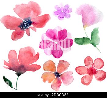 Aquarell rosa und rot Blume und Blätter Element Sammlung auf Weiß Stockfoto