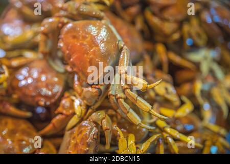 Ein selektiver Fokus Schuss knusprig lecker gekocht kleine Krabben zusammen in einem Teller serviert Stockfoto