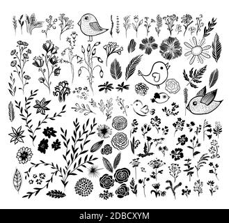 Ein Set aus monochromen floralen Elementen. Vektorgrafik Stock Vektor