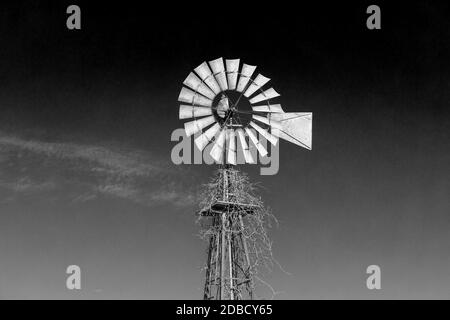 Windpumpe auf einem Iowa-Bauernhof. Stockfoto
