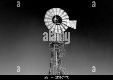 Windpumpe auf einem Iowa-Bauernhof. Langzeitbelichtung. Stockfoto