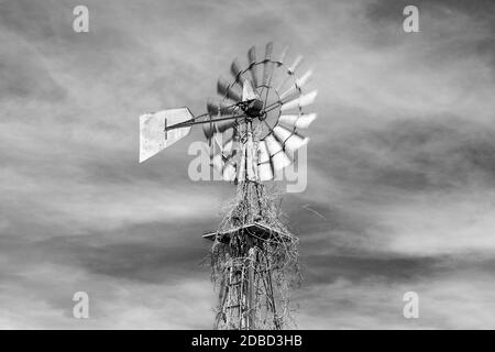 Windpumpe auf einem Iowa-Bauernhof im Lee County. Stockfoto