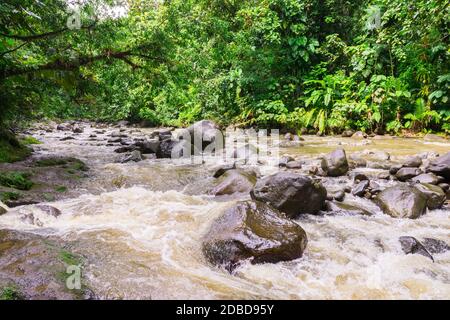 Berühmte Cascade aux ecrevisses auf der Route de la Traversee in Basse-Terre, Guadeloupe Stockfoto