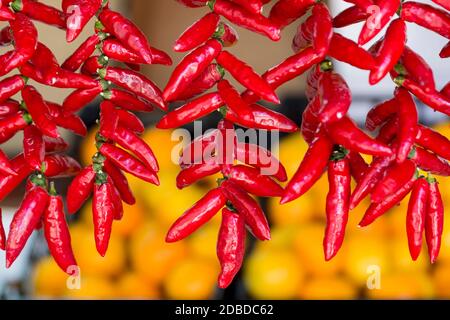 Nahaufnahme von Chilis, die auf einem Marktplatz auf einem Hintergrund hängen Von gelben Früchten Stockfoto