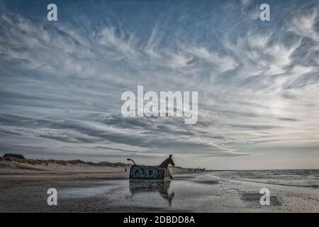 Bunker Maultiere Pferde am Blaavand Strand, Nordseeküste, Dänemark Stockfoto